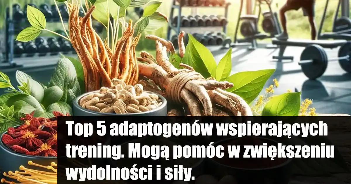 Trener-personalny-Rzeszow-Mateusz-Cynar-Blog-Top-5-adaptogenow